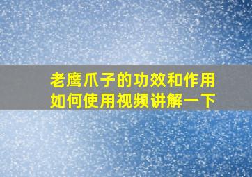 老鹰爪子的功效和作用如何使用视频讲解一下