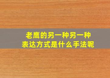 老鹰的另一种另一种表达方式是什么手法呢