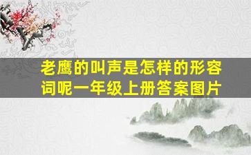 老鹰的叫声是怎样的形容词呢一年级上册答案图片