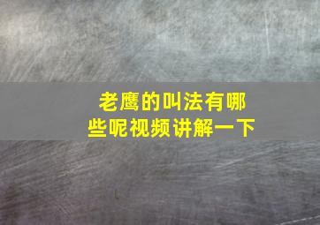 老鹰的叫法有哪些呢视频讲解一下