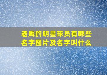 老鹰的明星球员有哪些名字图片及名字叫什么