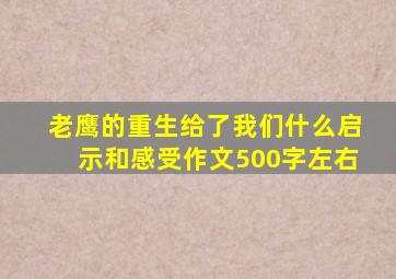 老鹰的重生给了我们什么启示和感受作文500字左右