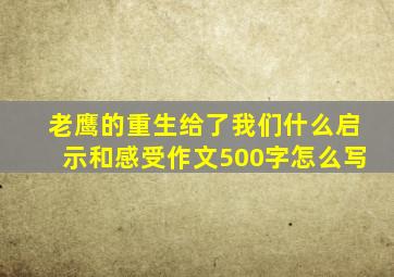 老鹰的重生给了我们什么启示和感受作文500字怎么写