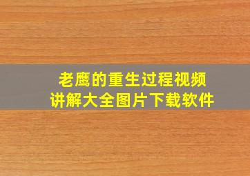 老鹰的重生过程视频讲解大全图片下载软件