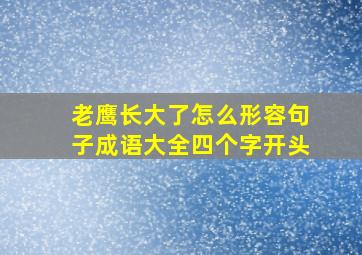 老鹰长大了怎么形容句子成语大全四个字开头