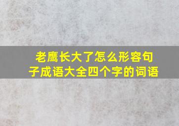 老鹰长大了怎么形容句子成语大全四个字的词语