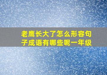 老鹰长大了怎么形容句子成语有哪些呢一年级