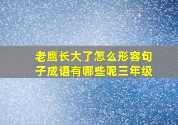 老鹰长大了怎么形容句子成语有哪些呢三年级