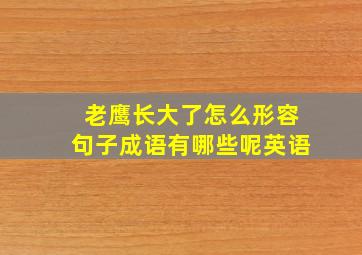 老鹰长大了怎么形容句子成语有哪些呢英语