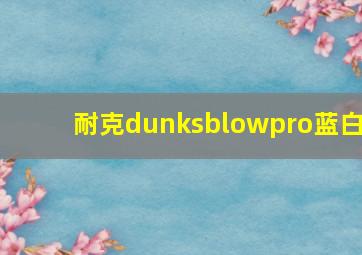 耐克dunksblowpro蓝白