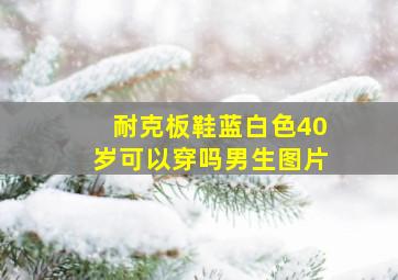 耐克板鞋蓝白色40岁可以穿吗男生图片