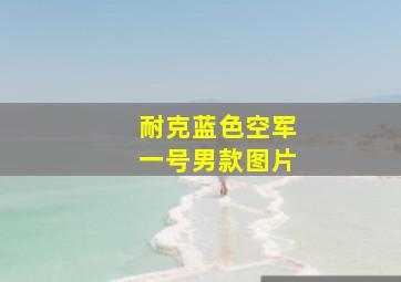 耐克蓝色空军一号男款图片