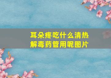 耳朵疼吃什么清热解毒药管用呢图片