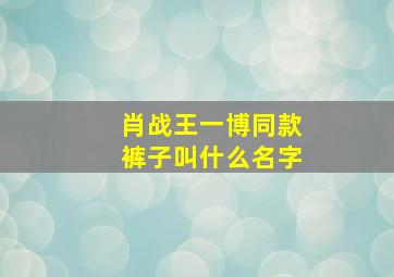 肖战王一博同款裤子叫什么名字