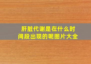 肝脏代谢是在什么时间段出现的呢图片大全