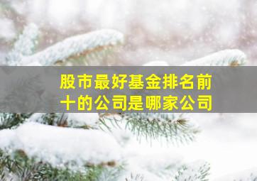 股市最好基金排名前十的公司是哪家公司