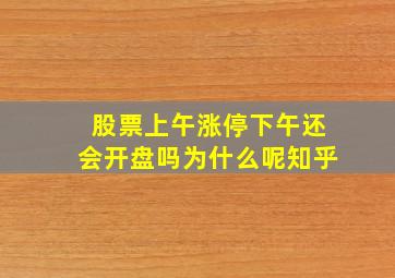 股票上午涨停下午还会开盘吗为什么呢知乎