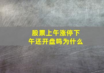 股票上午涨停下午还开盘吗为什么