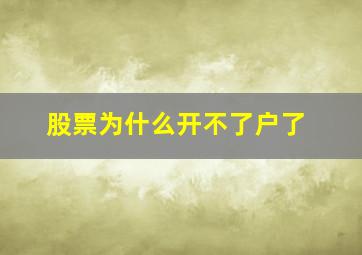 股票为什么开不了户了