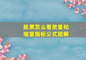 股票怎么看放量和缩量指标公式图解