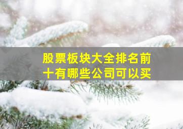 股票板块大全排名前十有哪些公司可以买