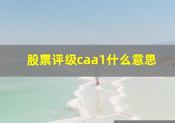 股票评级caa1什么意思