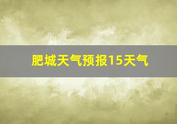 肥城天气预报15天气