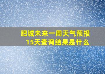 肥城未来一周天气预报15天查询结果是什么