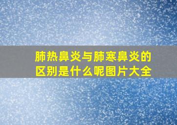 肺热鼻炎与肺寒鼻炎的区别是什么呢图片大全