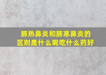 肺热鼻炎和肺寒鼻炎的区别是什么呢吃什么药好