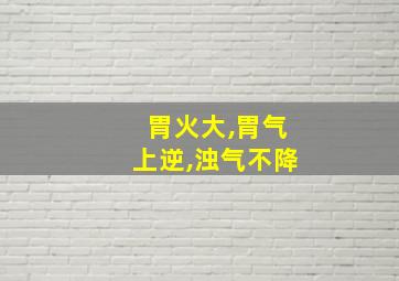 胃火大,胃气上逆,浊气不降