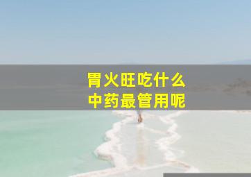 胃火旺吃什么中药最管用呢