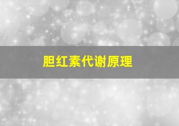 胆红素代谢原理