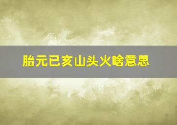 胎元已亥山头火啥意思