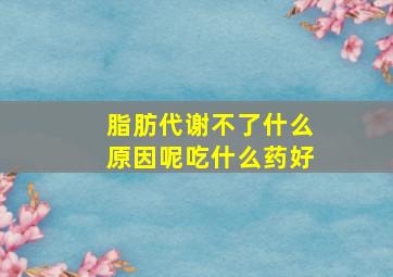 脂肪代谢不了什么原因呢吃什么药好