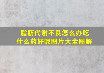 脂肪代谢不良怎么办吃什么药好呢图片大全图解