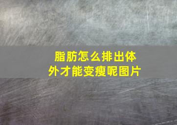 脂肪怎么排出体外才能变瘦呢图片