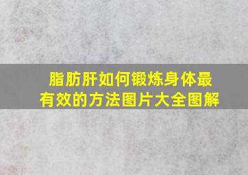 脂肪肝如何锻炼身体最有效的方法图片大全图解