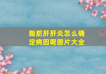 脂肪肝肝炎怎么确定病因呢图片大全