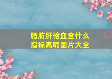 脂肪肝验血查什么指标高呢图片大全