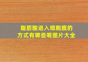 脂肪酸进入细胞膜的方式有哪些呢图片大全