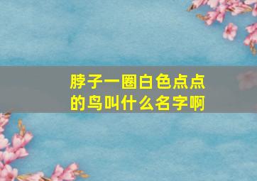 脖子一圈白色点点的鸟叫什么名字啊