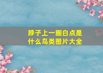 脖子上一圈白点是什么鸟类图片大全