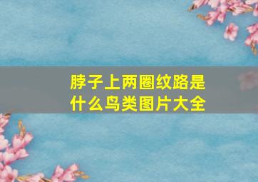 脖子上两圈纹路是什么鸟类图片大全