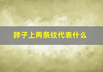 脖子上两条纹代表什么