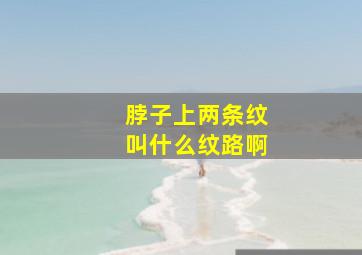 脖子上两条纹叫什么纹路啊