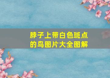 脖子上带白色斑点的鸟图片大全图解