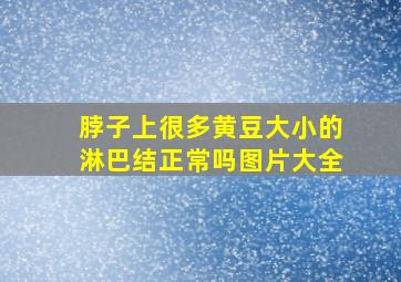 脖子上很多黄豆大小的淋巴结正常吗图片大全