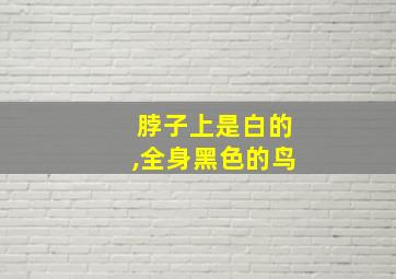 脖子上是白的,全身黑色的鸟