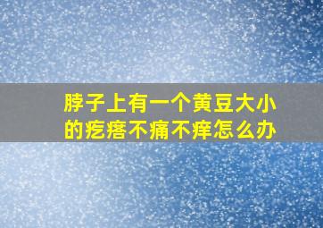 脖子上有一个黄豆大小的疙瘩不痛不痒怎么办